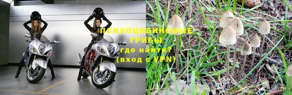 скорость Вязьма