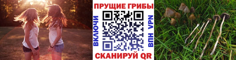 Галлюциногенные грибы ЛСД  гидра ТОР  Димитровград 
