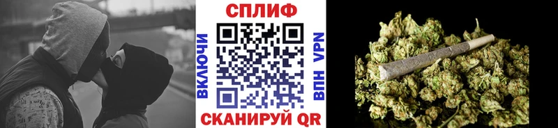 OMG tor  Димитровград  Канабис OG Kush 